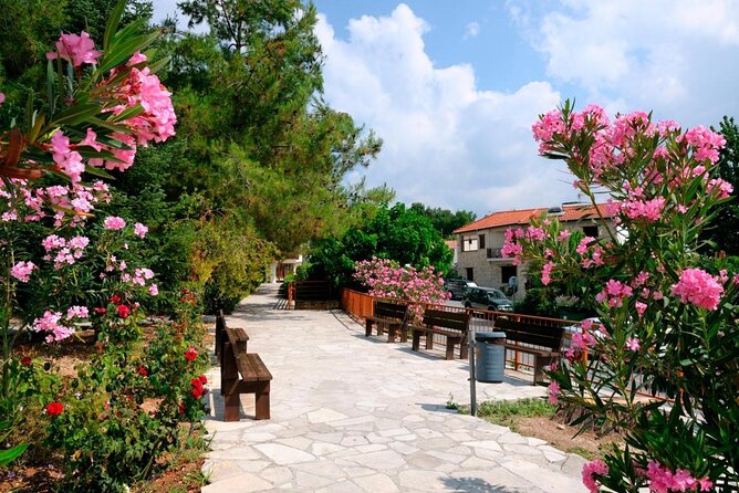 100% Cyprus - Tour to Troodos mountains and villages (From Paphos) - From Paphos beaches to the Troodos foothills