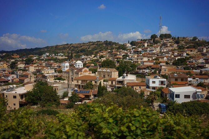 100% Cyprus - Tour to Troodos mountains and villages (From Paphos) - Lambouri Winery: a relaxed finish with local wine