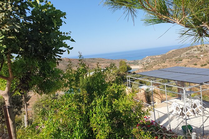 2-Hour Botanic Garden Tour in Akoursos - A look at the glamping pods