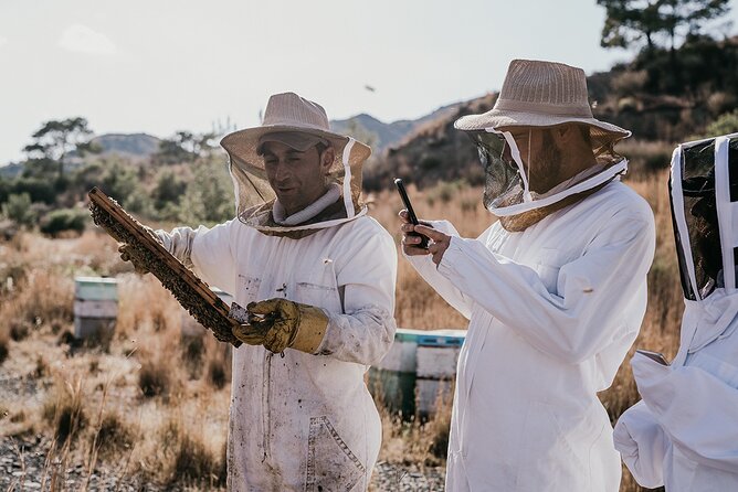 30-Minute Guided Honey Tasting Activity in Melini - Key points to know before you go