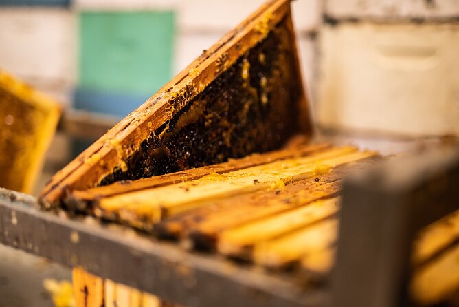 30-Minute Guided Honey Tasting Activity in Melini - Interactive games and a closer look at bees
