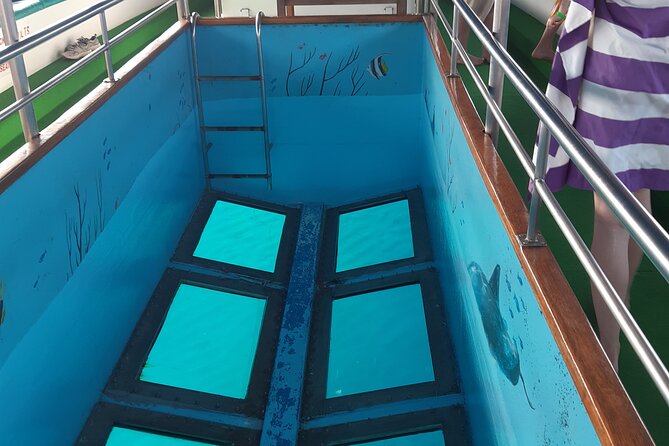 90-Minutes Glass Bottom Trip With Quick Dip - Seeing the Vera K. through the glass bottom