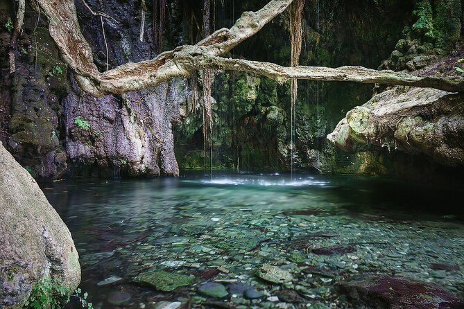 Akamas, Baths of Aphrodite and Blue Lagoon Day Tour from Paphos - Practical advice for a smoother day