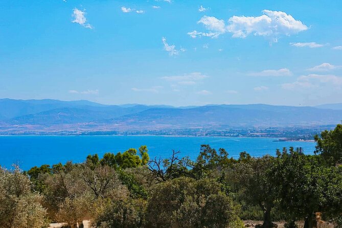 Akamas, Baths of Aphrodite and Blue Lagoon Day Tour from Paphos - Who should book this tour?