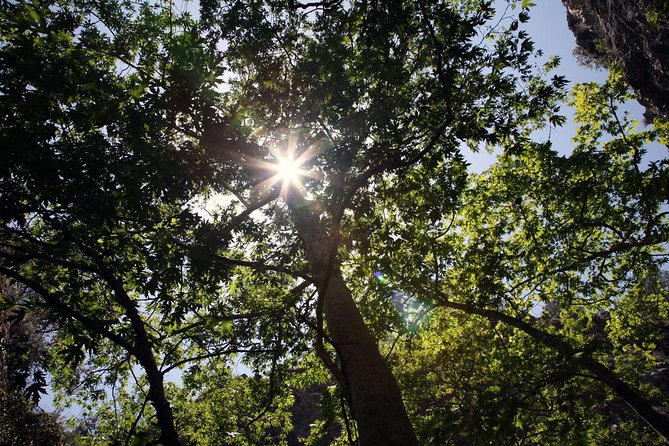 Beauty, Nature and Charm of Troodos Mountains from Paphos - Troodos viewpoints and the mountain road