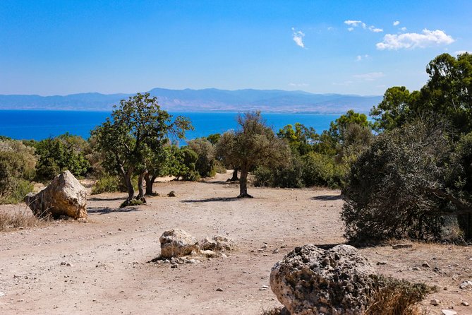Blue Lagoon and Aphrodite’s Birthplace Day Tour from Limassol - Who will enjoy this Cyprus day trip