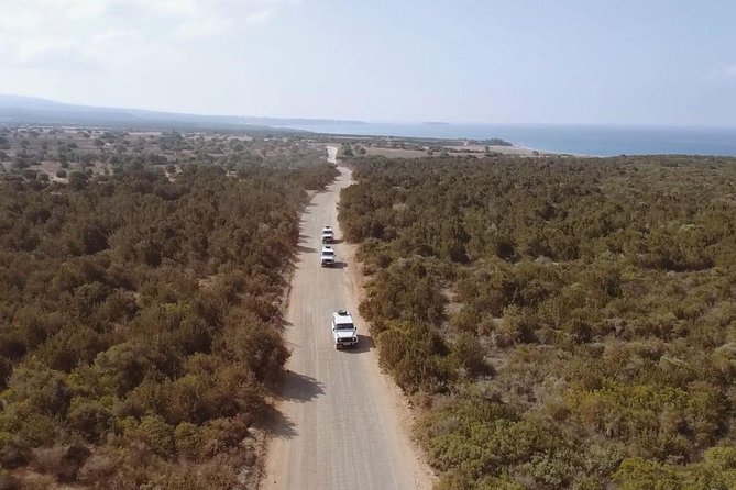 Cruise and 4X4 Safari Tour at Akamas Peninsula from Paphos - Why Akamas works so well as a full-day outing