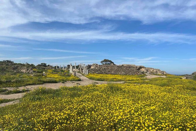 Day Tour to Famagusta, Ghost Town & Ancient Salamis - Famagusta old town and the former cathedral