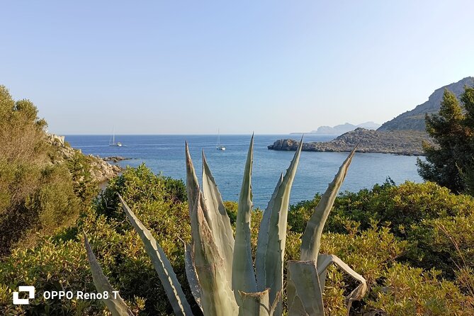 Day Trip to the Paphos amazing sides from Limassol. - Aphrodite’s Rock and the local taste of Cyprus