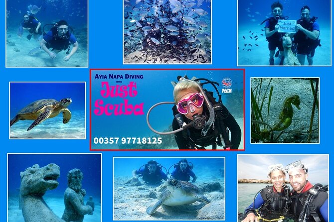 Discover Scuba Diving - Key points to know before booking