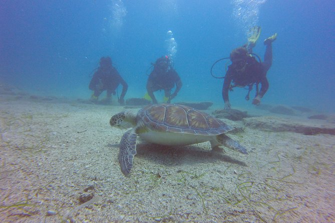 Discover Scuba diving - Is it suitable for children?