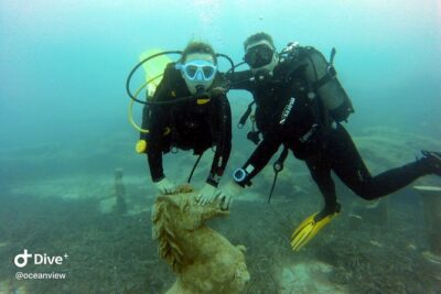 Discover Scuba diving
