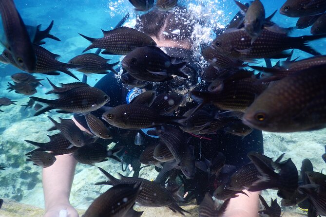 Discover Scuba Diving - Who will enjoy this experience most