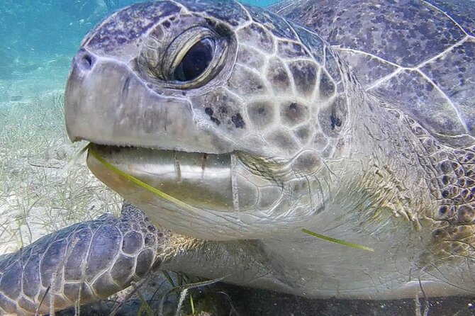 Discover Scuba Diving - Practical details that can make the afternoon easier