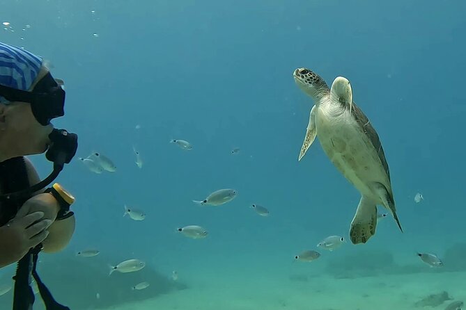 Discover SCUBA Diving with Pissouri Bay Divers - Why the small group size matters