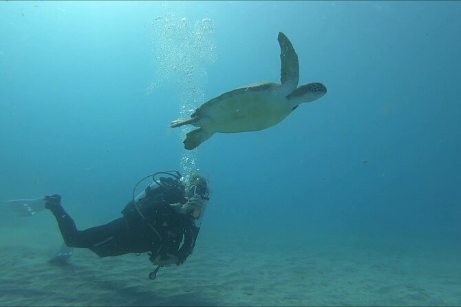 Discover SCUBA Diving with Pissouri Bay Divers - A good choice for nervous beginners and families