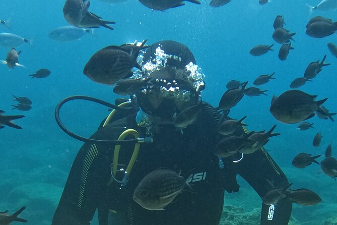 Dive The Rock (Scuba Diving Experience in Protaras) - What your four hours at Green Bay look like