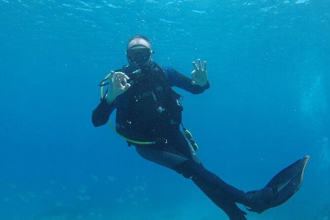 Dive The Rock (Scuba Diving Experience in Protaras) - Fish, turtles, and the hands-on part