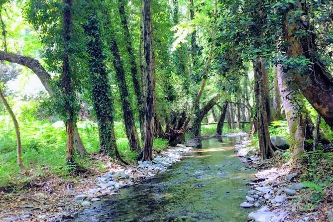 Explore Paphos forest with e-mountain bikes - The return ride and the real level of effort