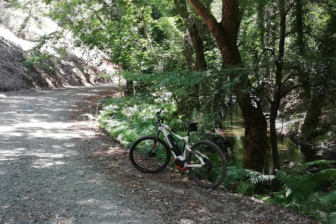 Explore Paphos forest with e-mountain bikes - What the $154.88 price gets you