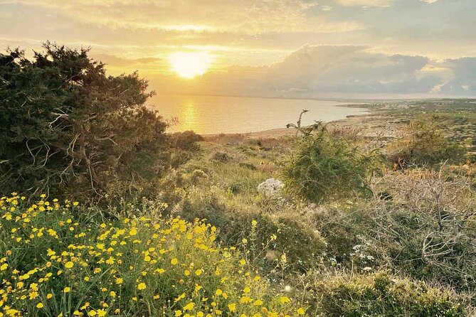 From Larnaca - Cape Greko Highlights Tour (Group of 5 People) - Cape Cavo Greco: the main nature walk
