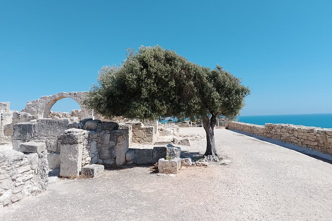 From Limassol, Aphrodite Rocks and Kourion Archeological Side - Why this short tour works from Limassol