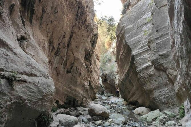 Full Day Tour in Akamas Adonis Waterfalls and Blue Lagoon - Why this Akamas jeep safari is appealing