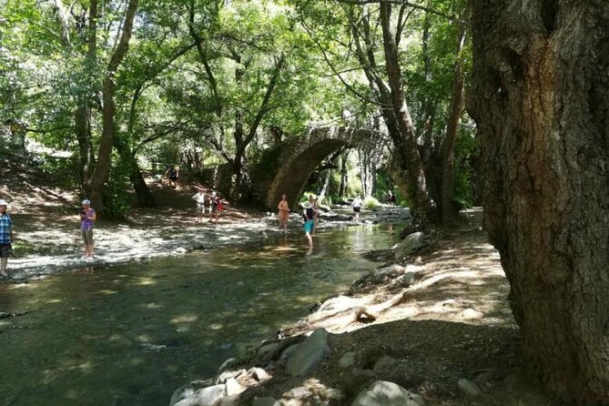Full Day Troodos Guided Safari Tour with Pick Up - The dam and the first view of Troodos