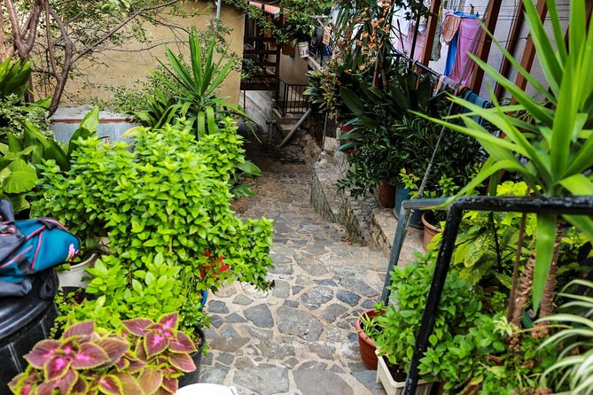 Gourmet Cyprus Tour – Local Flavors & Wine from Paphos - What the $71.04 price really covers