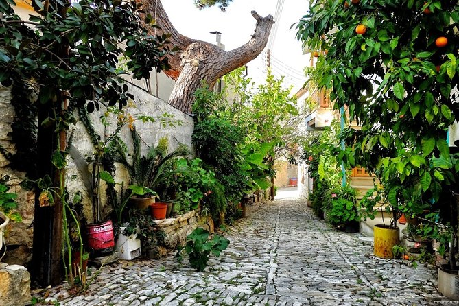Gourmet Cyprus Tour – Local Flavors & Wine from Paphos - Smoked meats and a proper mountain lunch