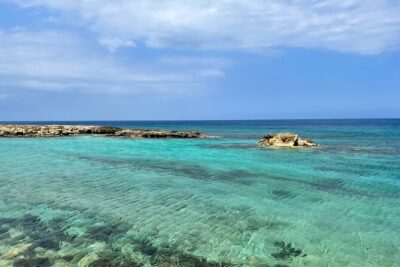 Guided snorkeling trip to the turtles in Protaras