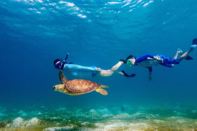 Guided snorkeling trip to the turtles in Protaras - Is $90.31 a fair price?