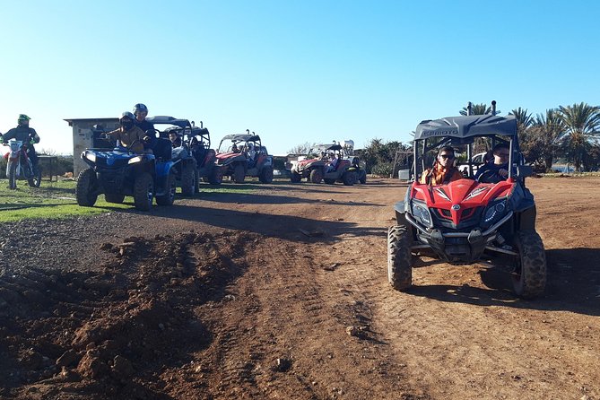 Half-Day Buggy Safari to Akamas Peninsula with Lunch - Akamas National Forest Park and the rougher ride