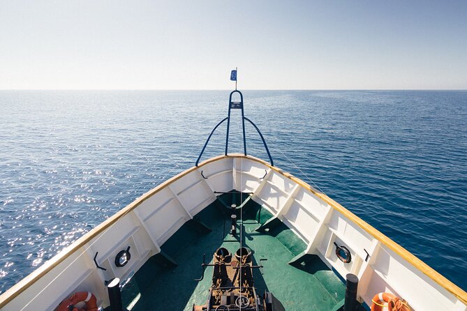 Half-Day Odyssey Guided Boat Safari with Lunch in Cyprus - The Zenobia wreck site comes first