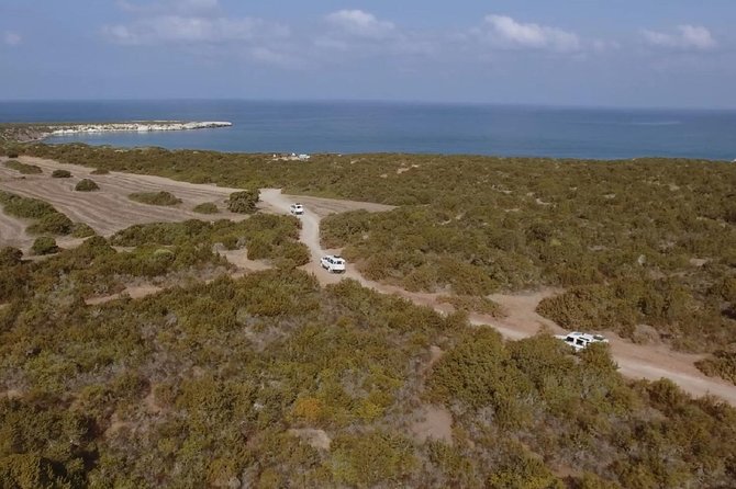 Half day Safari Tour to Akamas Peninsula from Paphos - From Paphos to the rough tracks of Akamas