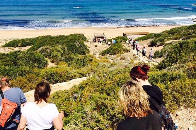 Half day Safari Tour to Akamas Peninsula from Paphos - Lara Bay and the turtle conservation area