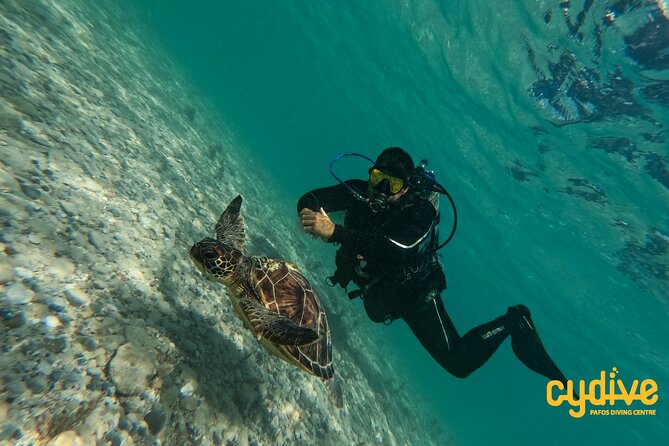 Half-Day Scuba Diving Tour - Discover Scuba Diving! - Pool practice: your first breath underwater