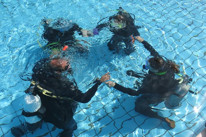 Half-Day Scuba Diving Tour - Discover Scuba Diving! - Who will get the most from this experience?