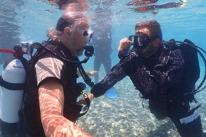 Introductory diving in small groups - What Green Bay can show you underwater
