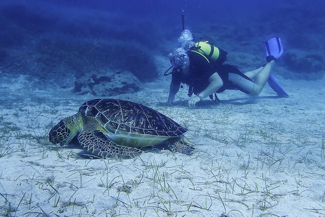 Introductory diving in small groups - Why the small group limit matters