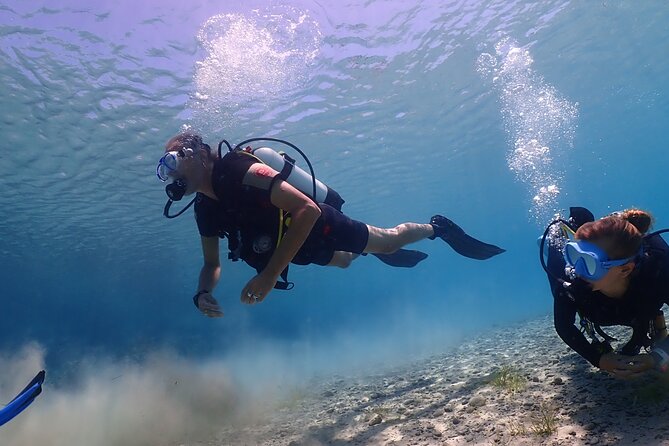 Introductory diving in small groups - The instructors are the main strength