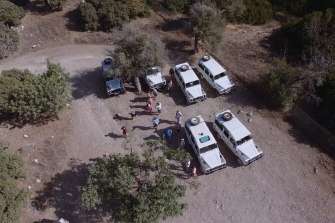 Jeep Safari Akamas from Paphos - What the Jeep ride is really like