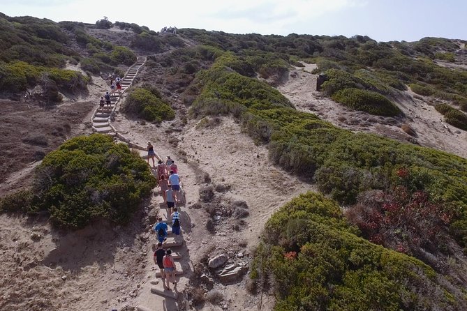Jeep Safari Akamas from Paphos - Guide quality can shape the whole day