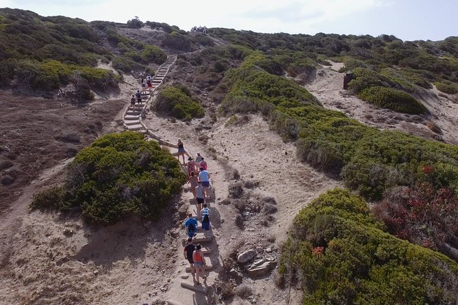 Jeep Safari to Akamas from Limassol - Lara Beach and the Cyprus turtle project