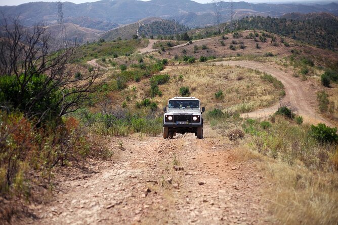 Jeep Safari to Akamas National Park: Avakas Gorge Tour from Paphos - The Baths of Aphrodite are brief and easy to overrate