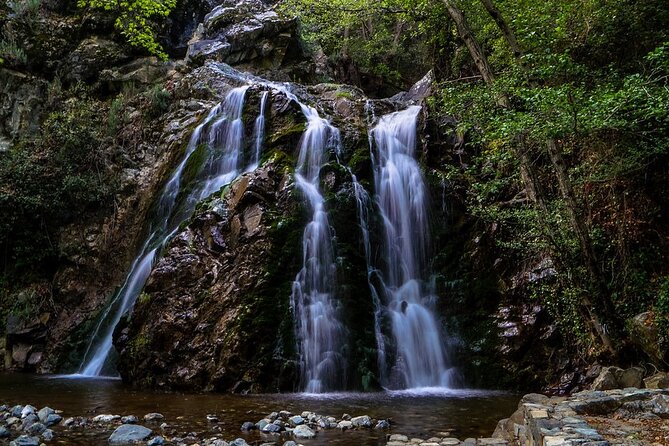 Jeep Safari to Troodos mountains : Nature, Villages and Blue Wine - Tzelefos Bridge in the forest