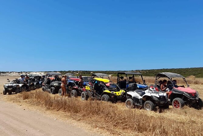 Lara Bay & Adonis Falls Quad & Buggy Tour - Lara Bay and the reality of an unpolished beach