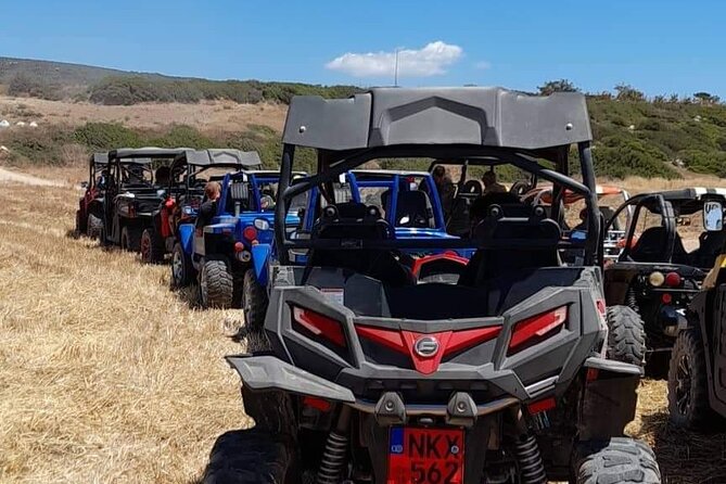 Lara Bay & Adonis Falls Quad & Buggy Tour - Adonis Baths: a swim with an extra admission fee