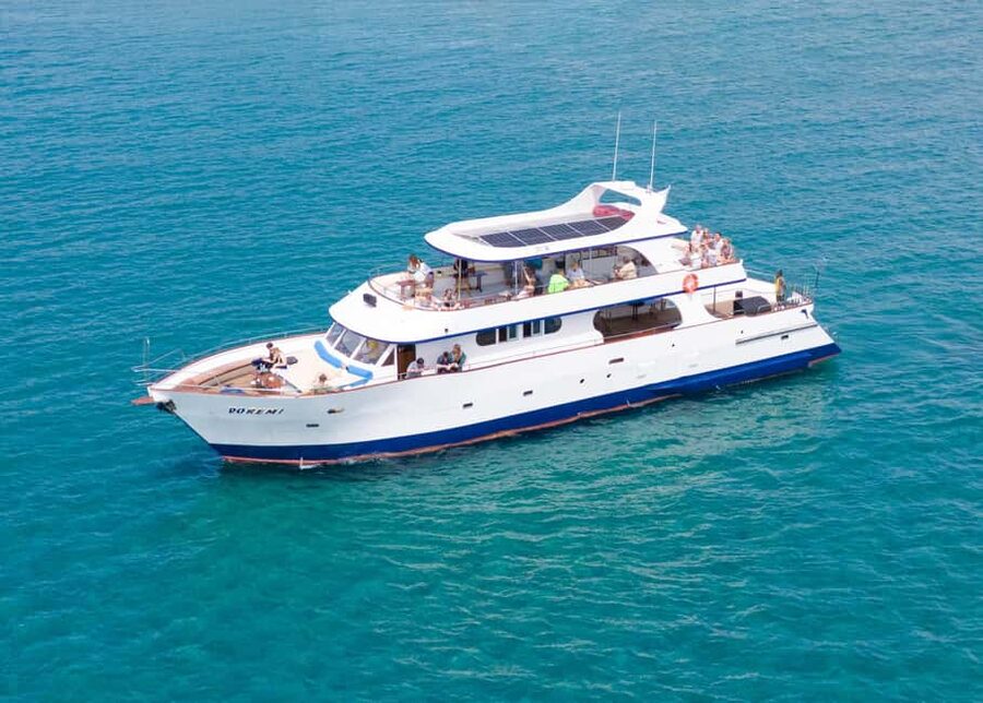 Larnaca: Glass-Bottom Boat Cruise with Fishing and BBQ Lunch - Swimming in the Mediterranean