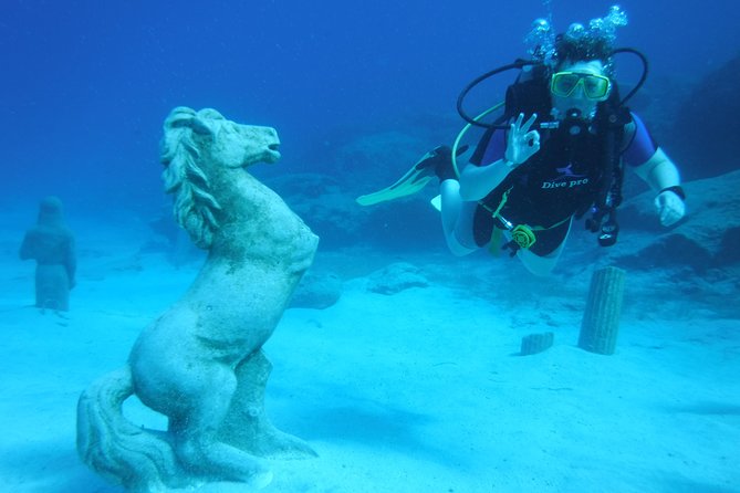 Local Guided Dives (for certified/licensed divers) - One Session or Two?